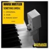 Something Unreal (Radio Edit) - House Hustler