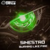 Fear Brain (Original Mix) - Sinestro