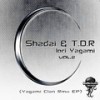 Iori Yagami (The Capos Remix) - Shadai&T.D.R