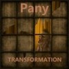 Transformation - Pany