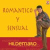 Estoy Solo - Hildemaro