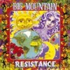 Resistance (LP版) - Big Mountain