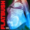 Afterlife (Explicit) - Flatbush Zombies&Zombie Juice&Erick The Architect&Antonio Lewis&Demetri Simms&Erick Elliott&James Litherland