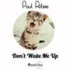 Don't Wake Me Up (Original Mix) - Paul Klitsie