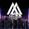 Trip (Original Mix) - Marwollo