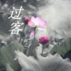 怀念青春 - 王妍之