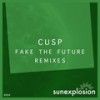 Fake the Future (Ktanya Remix) - cusp&Ktanya