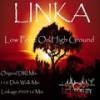 Low Point On High Ground (DRI Mix) - Linka