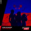 The Other Side - Chris Schweizer