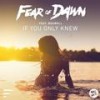 If You Only Knew (Vanilla Ace Remix) - Fear of Dawn&Boswell