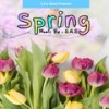 Spring - S.A.S.