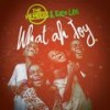 What ah Joy (feat. Exco Levi) - The Memberz&Exco Levi