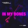 In My Bones - Sunnery James & Ryan Marciano&Dan McAlister