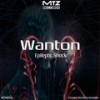 Epileptic Shock (Original Mix) - Wanton