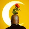 Yellow Roses (Explicit) - Kevin Posey