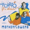 Porrito y a Dormir - Motherflowers&XICO&GOE