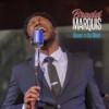 Blowin In The Wind - Bradd Marquis