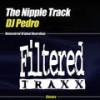 The Nipple Track (The Friction Mix) - DJ Pedro