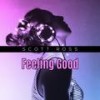 Disco Flavor - Scott Ross