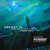 The Rising (Original Mix) - Ambient 11