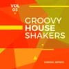 Chicago House (Original Mix) - Max Footstep