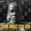 Look What You Did (Explicit) - Reuben Vincent&Sonny Miles