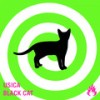 Black Cat (Original Mix) - Usica