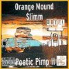 WHAT I LIKE (Explicit) - Orange Mound Slimm