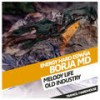 Melody Life (Original Mix) - Borja MD