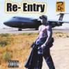 Re-Entry - small duck