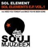 Since You've Been Gone (Original Mix) - SOL Element