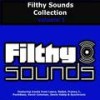 Frantic Seduction (Original Mix) - Franny J.