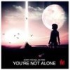 You're Not Alone (Instrumental) - Sonny Vice&Jolynne