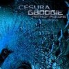 Path Of Pigeons (Original Mix) - Cesura&Gboogie