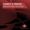 Shelter from the Storm (NeoTune! Remix Edit) - Cueboy&Tribune