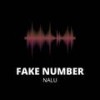 Fake Number (Remix) - Nalu