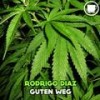 Guten Weg (Original Mix) - Rodrigo Diaz