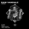 Hooked (Ruud S Remix) - Raw Vandalz&Ruud S