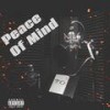 Peace Of Mind (Explicit) - T.O.