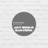 Walk Away (Hole in the Wall) (feat. Sjavera) - Jay SoulO&Sjavera