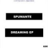 Through Your Mind (Original Mix) - Spumante