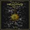 Meadows - Apocrypha (AR)