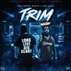 Trim (Explicit) - Fast Money Sunny&FBG Duck