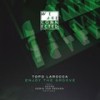 Enjoy The Groove (Original Mix) - Topo Larocca