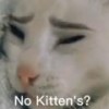 no kittens? (Explicit) - Dxniel Idk