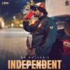 Independent - Rb Gujjar