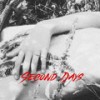 Second Days - :Papercutz