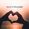 Never Ending Love - Holy Drill&the excentric&Mc Jamil