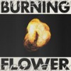 Burning Flower - 1000 Beasts&Laura Elizabeth Hughes