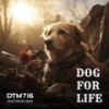 Dog For Life (feat. DMX) (Explicit) - Dtm716&DMX